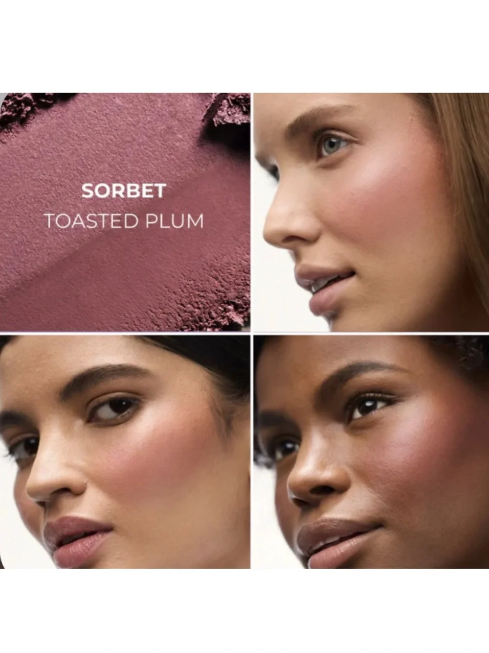 NEW✅LM Sorbet